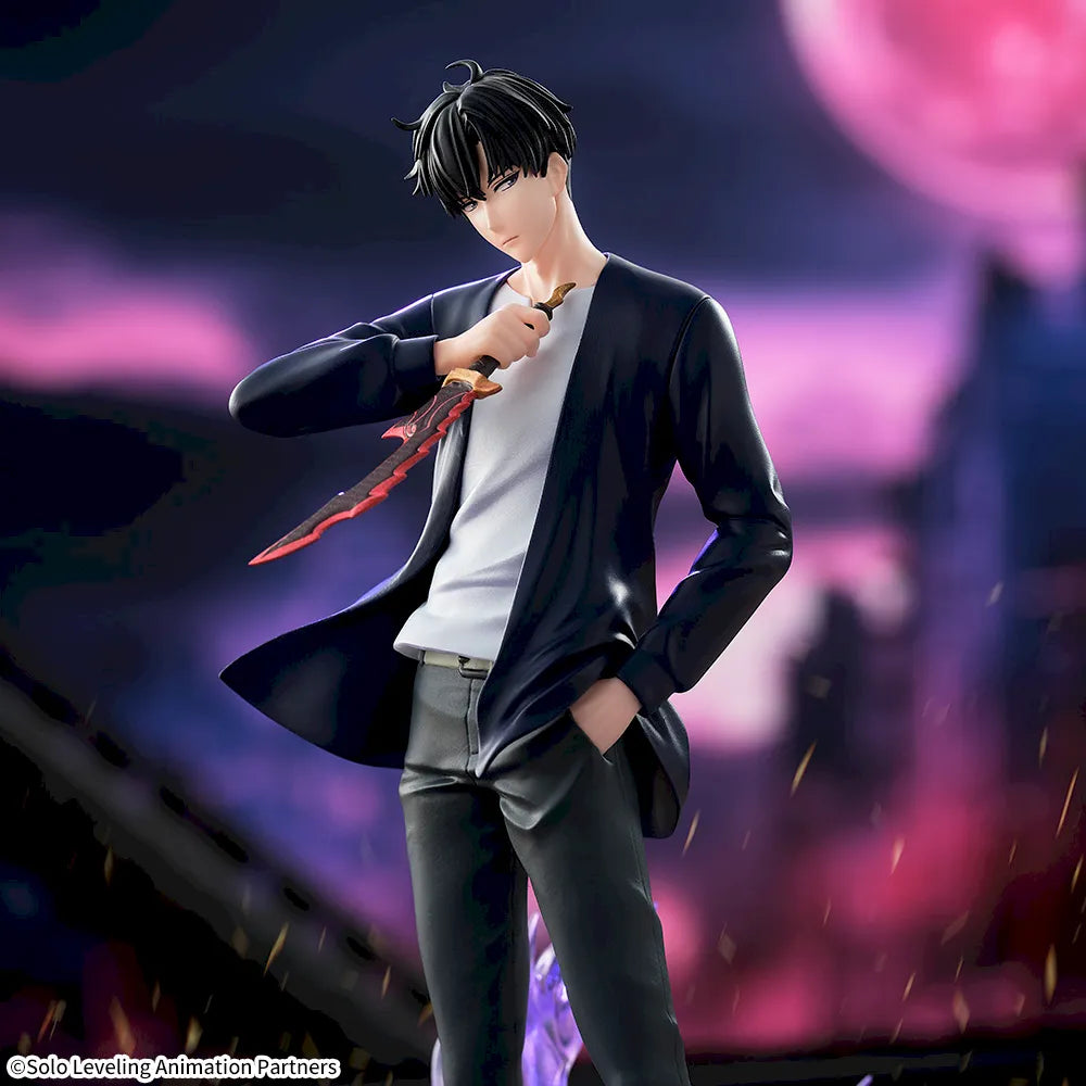 Solo Leveling - Xross Link Sung Jin-Woo